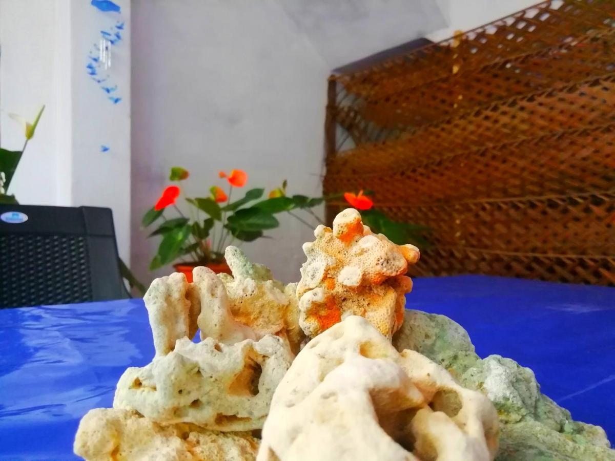 מלון New Coral Garden ווליגאמה מראה חיצוני תמונה